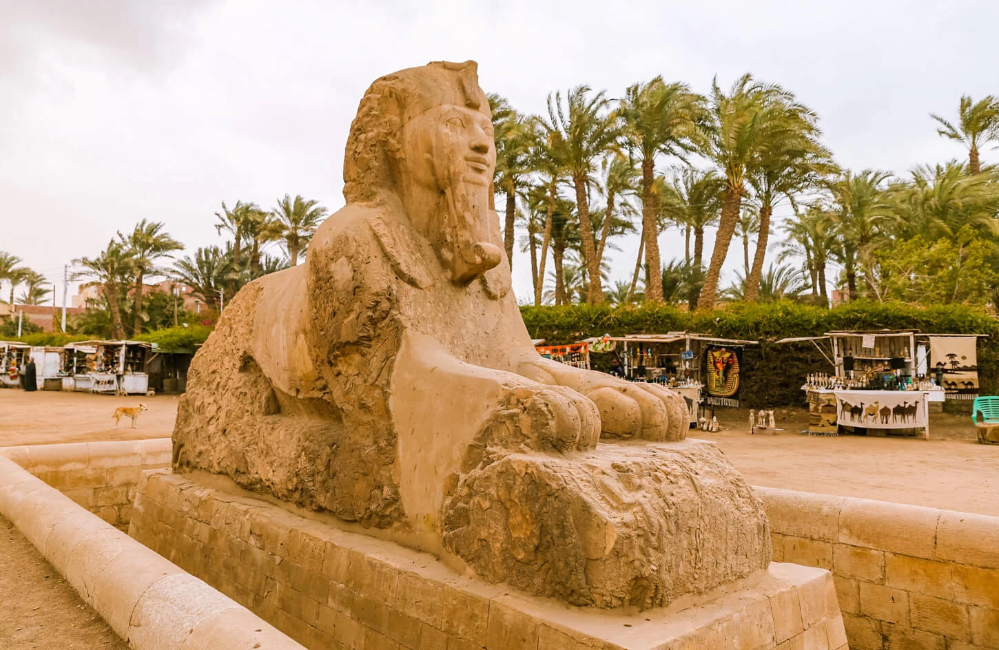 Top Cairo day tour to Saqqaraa and Memphis