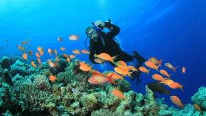 Snorkeling Adventure to Giftun Island from Hurghada Port