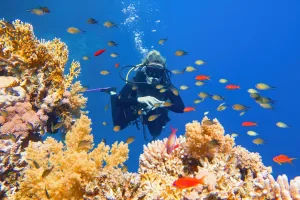 Snorkeling Adventure to Giftun Island from Hurghada Port