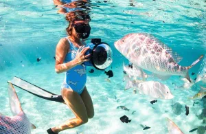 4 Days Cairo adventure tour to Dahab