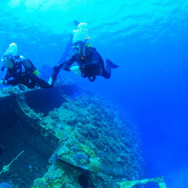 Discover diving in Egypt and the beauty of the seabed and coral reefs