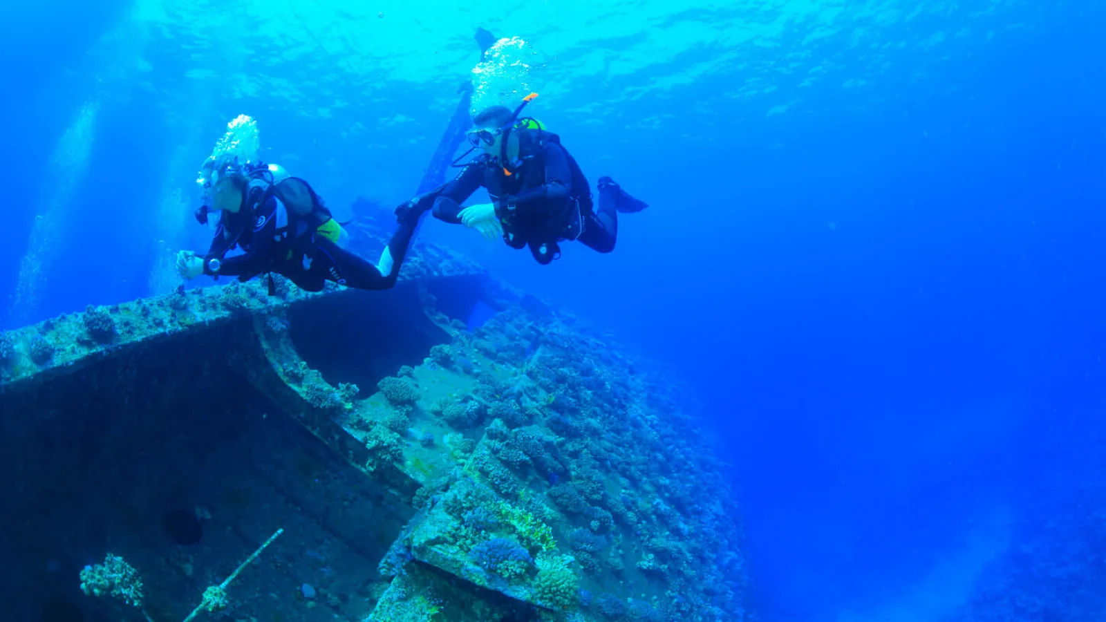 Discover diving in Egypt and the beauty of the seabed and coral reefs