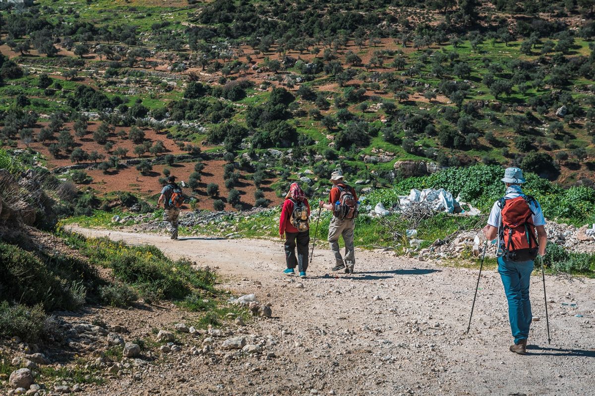 Explore Ajloun Forest Reserve when you travel to Jordan