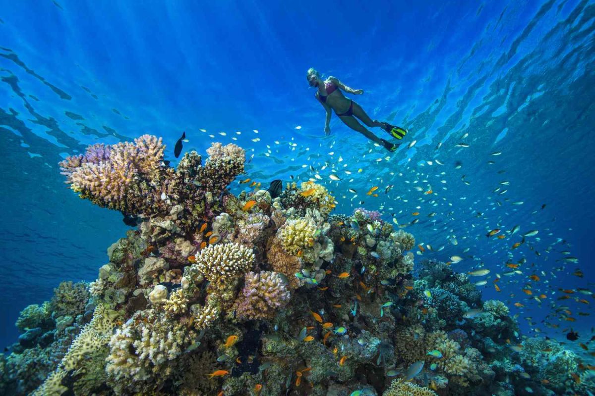The Red Sea
